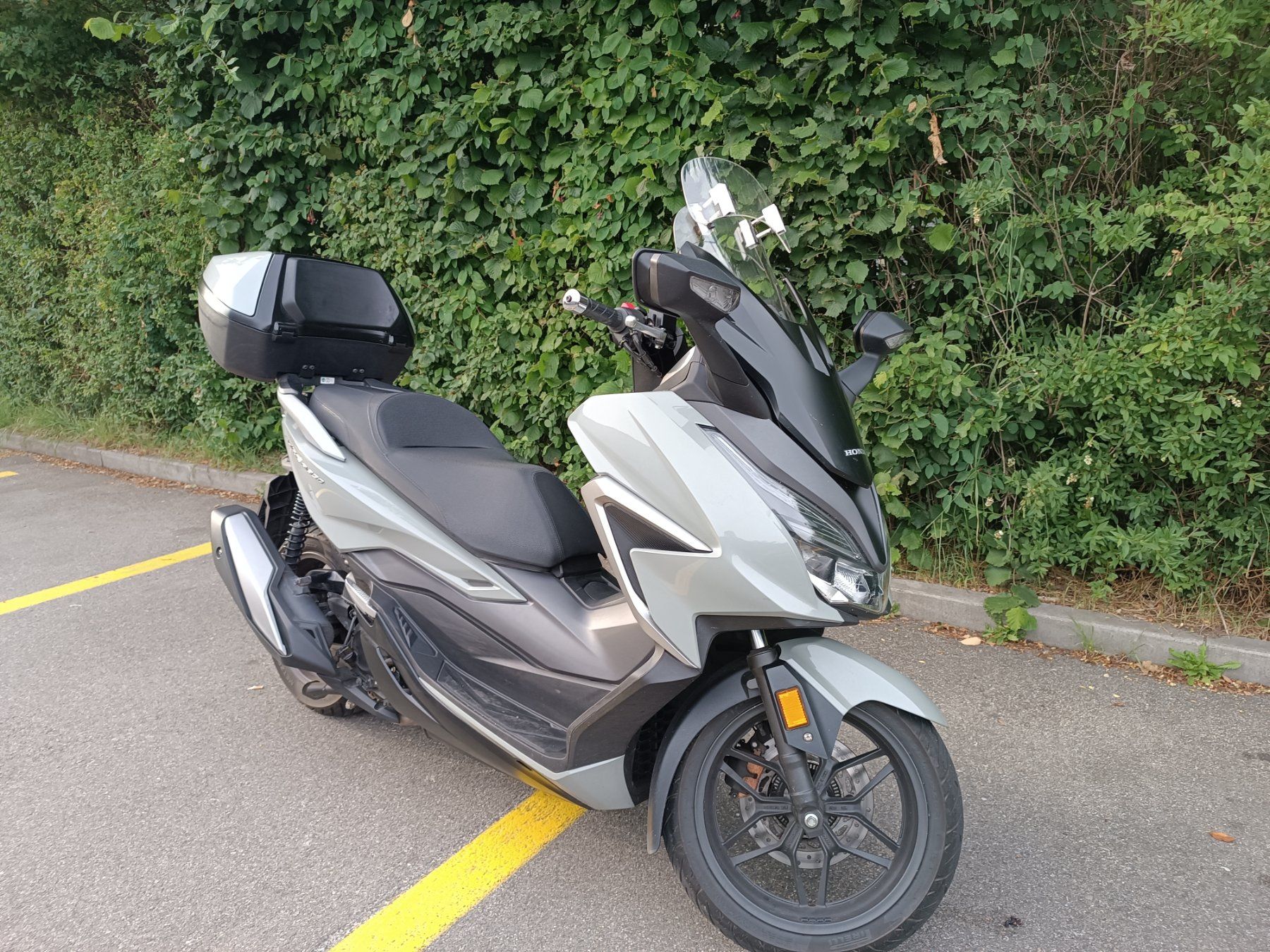 Honda Scooter: Honda Forza 350 – Usato da Dietlikon venduto da Gordonrichard 4
