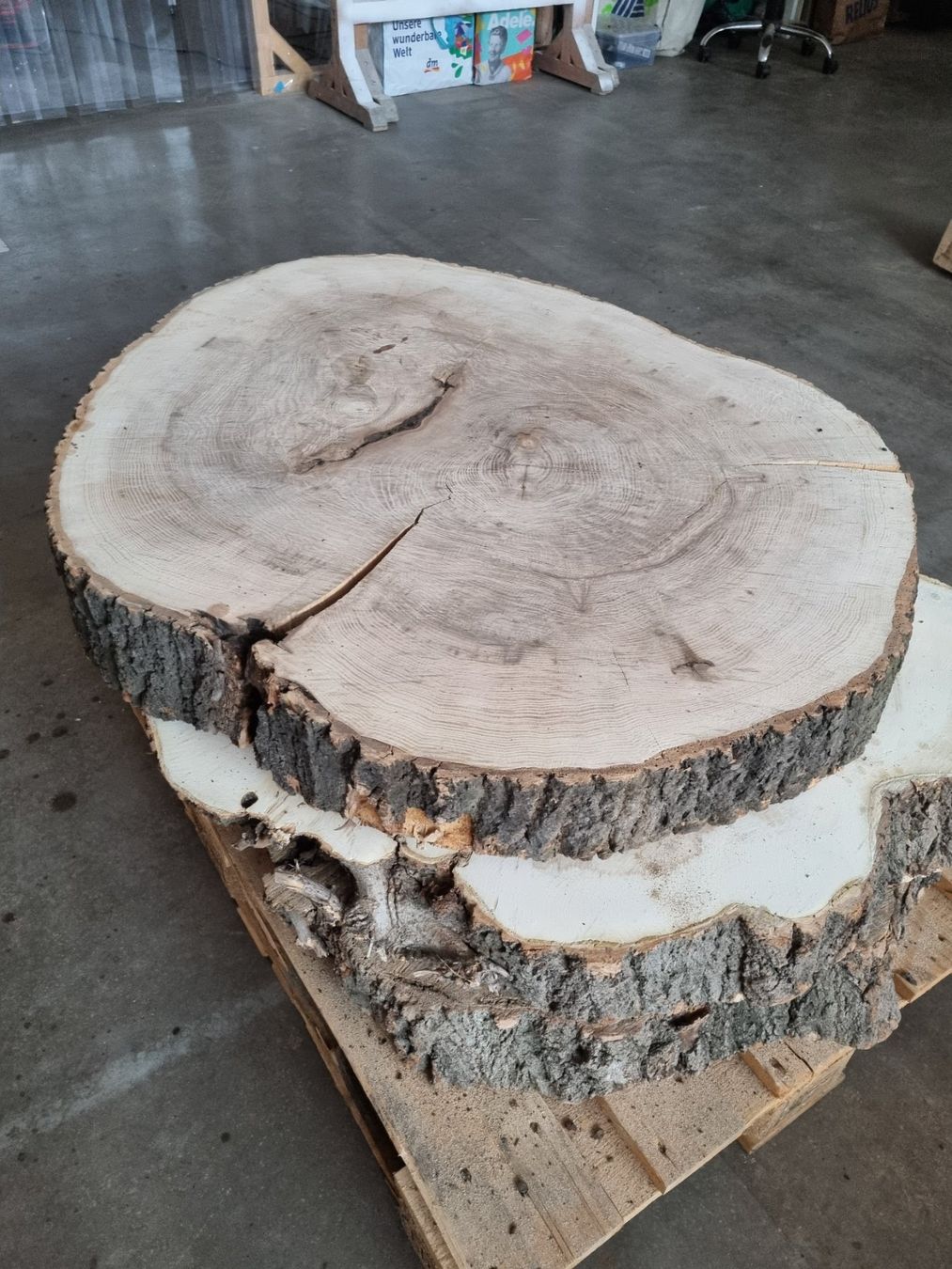 Holzartikel: Esche Baumscheibe Salontisch Baumstammtisch Couchtisch 12cm – Gebraucht aus Rheineck von Dein_Wunschholz 3