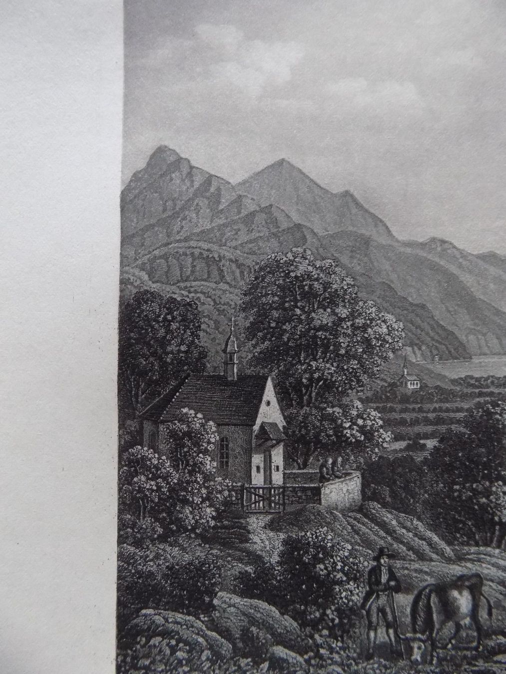 Incisioni: Environs de Schwyz – Usato da Risch venduto da Rischli15 3