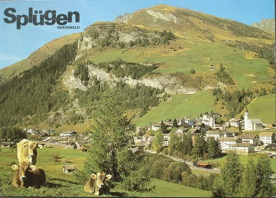 Cartes postales: SPLÜGEN Ansicht mit Kühen – D'occasion à Jona par philajona