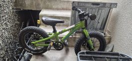 Velo enfant Radiobike zuma vert  14 pouces occasion