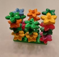 Duplo mélange de fleurs
