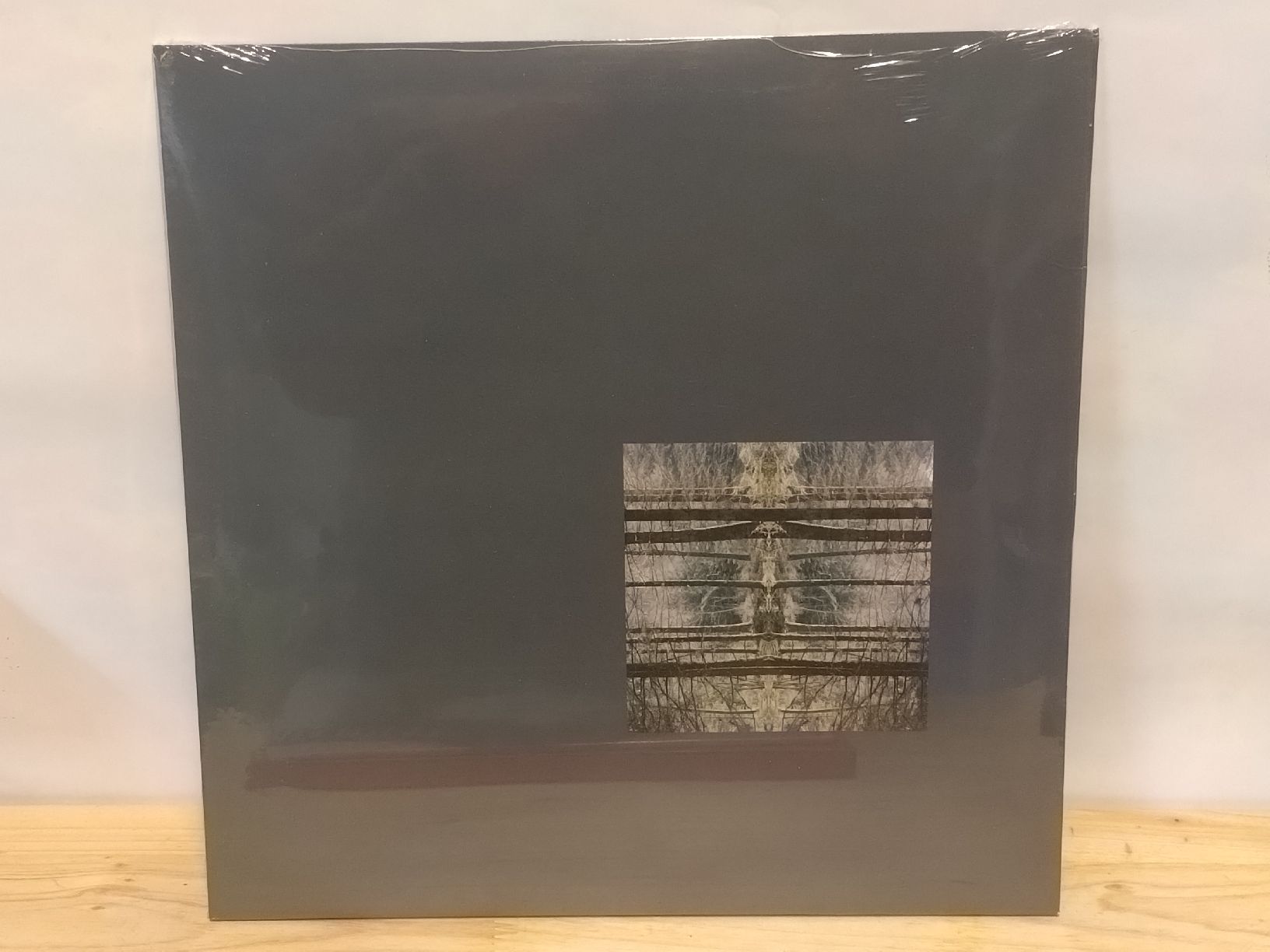 Dischi in vinile: Modeste Absurd Memories (Vinyle) NEW  – Nuovo (secondo la descrizione) da Farvagny-le-Grand venduto da LaCaverne