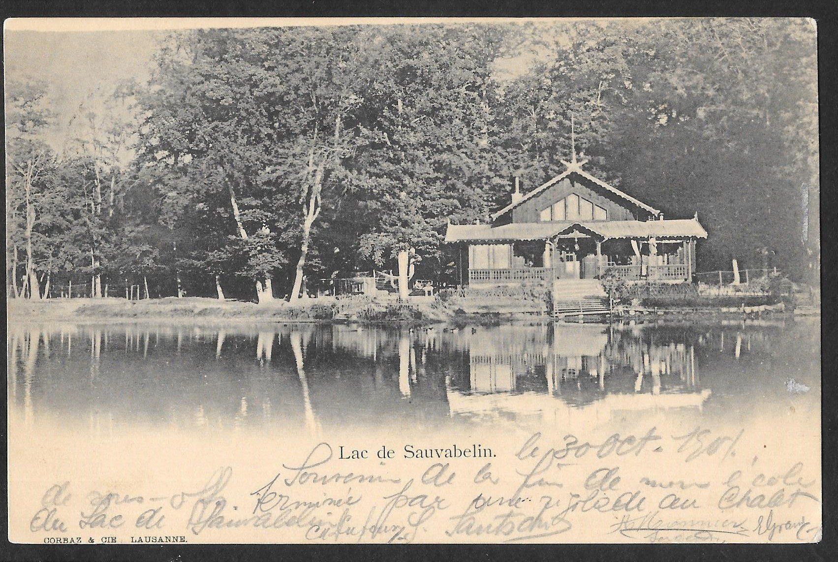 Cartoline postali: Lac de Sauvabelin sur Lausanne – Usato da Olten venduto da clotaldi