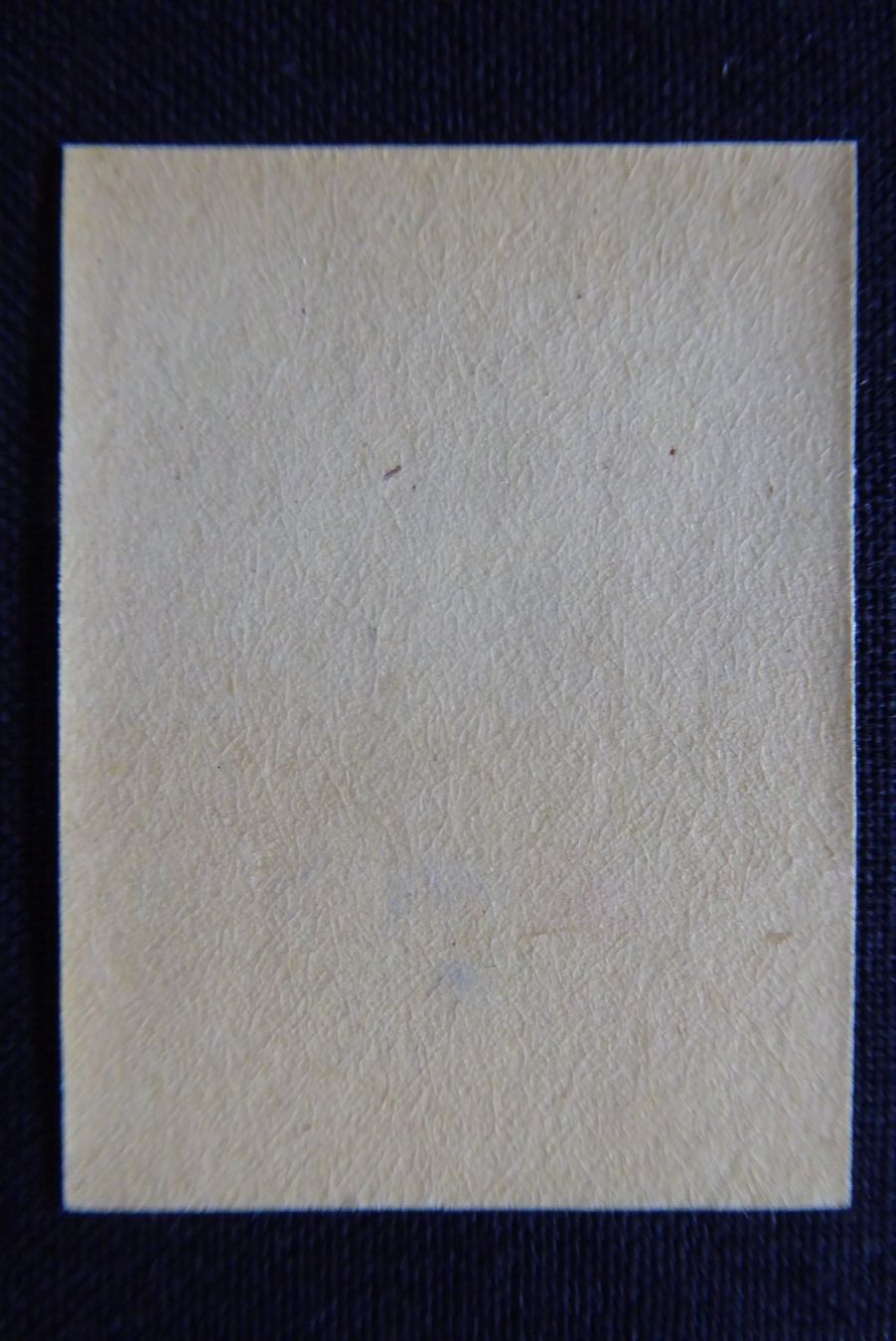 Alle Briefmarken: (m470) Grenztruppen Wit 3/2 ** – Gebraucht aus Basel von scholle50 1