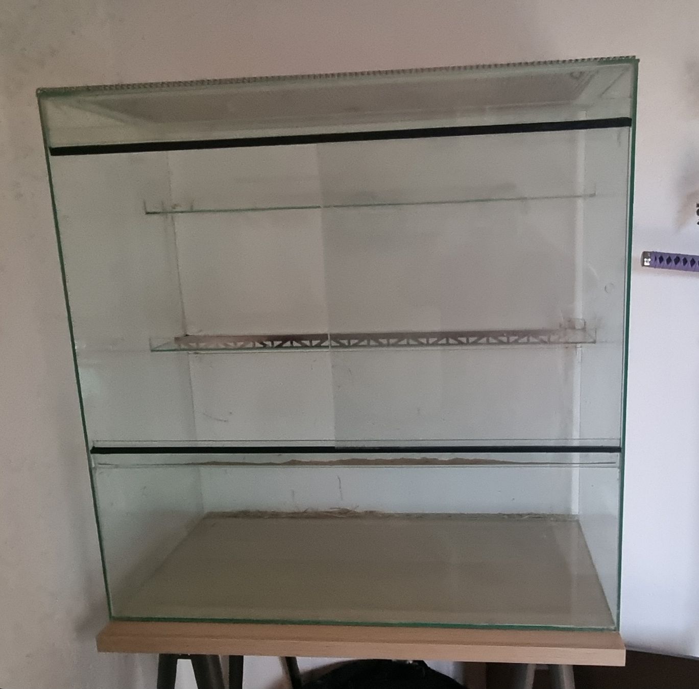 Terrario: Terrarium gross – Usato da Breitenbach venduto da 49fleur 1