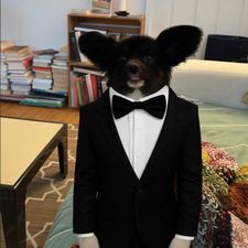 Profile image of Nik_Dingus