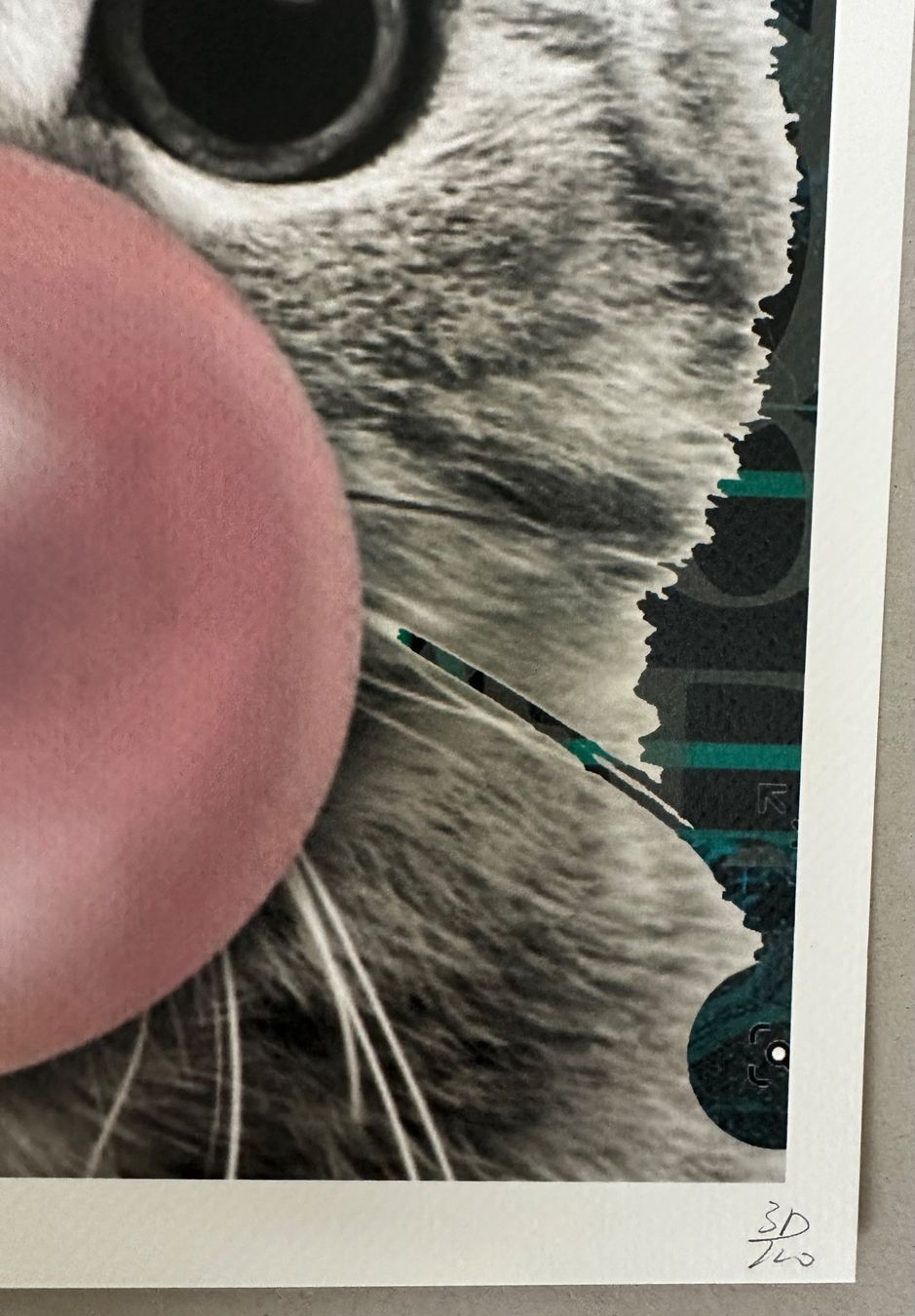Foto & Immagini: Death: Bubble Dior Cat, signiert 31/100 – Nuovo (secondo la descrizione) da Meilen venduto da Smgdesign 2