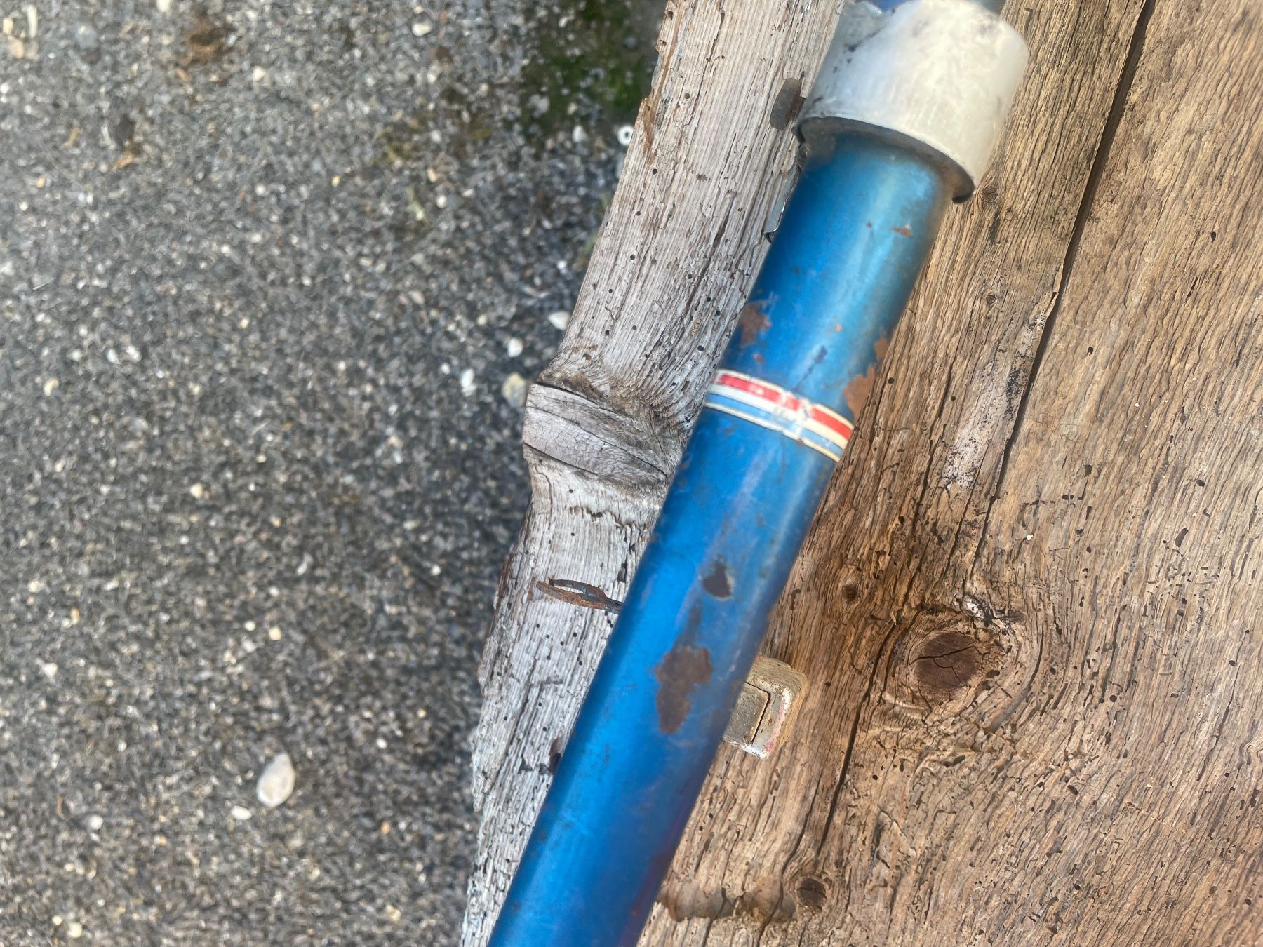 Ciclomotori: Fourche. – Usato da Leytron venduto da ACLEONARD01 4