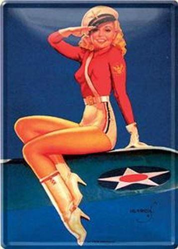 Articoli pubblicitari: Pin Up Airforce, Blechpostkarte – Nuovo (secondo la descrizione) da Schalunen venduto da schwabspielautomaten