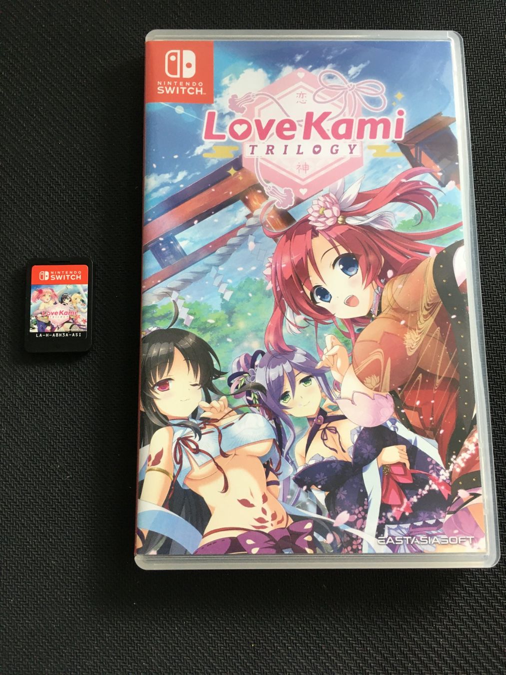 Nintendo Giochi: Love Kami für Nintendo Switch – Usato da St.Gallen venduto da sjosjo