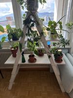 Pflanzenregal Holzleiter weiss