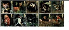 Einheimische Wildtiere 1 Streifen **
