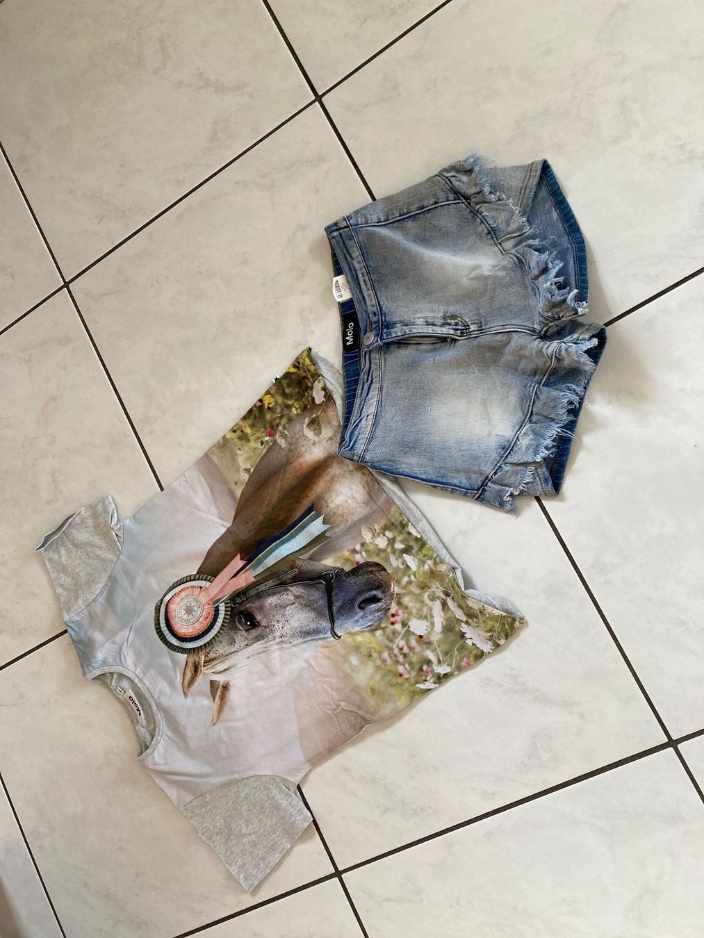 Molo Pantaloni: MOLO short taille 164cm – Nuovo (secondo la descrizione) da domdidier venduto da picolo99 2