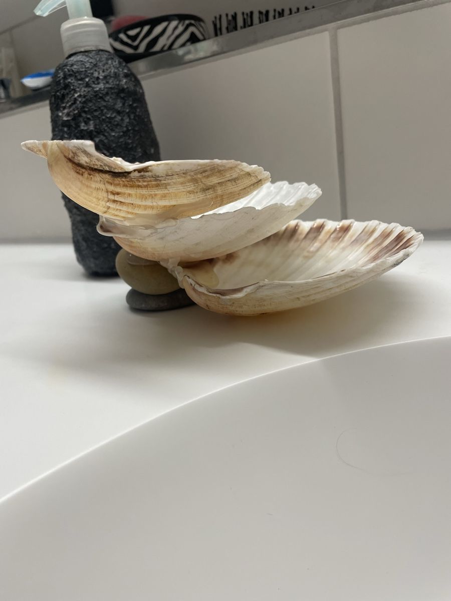 Tutte le decorazioni: Dekorative Muschelschale auf Steinen – Usato da Sins venduto da 77_gina_77 3