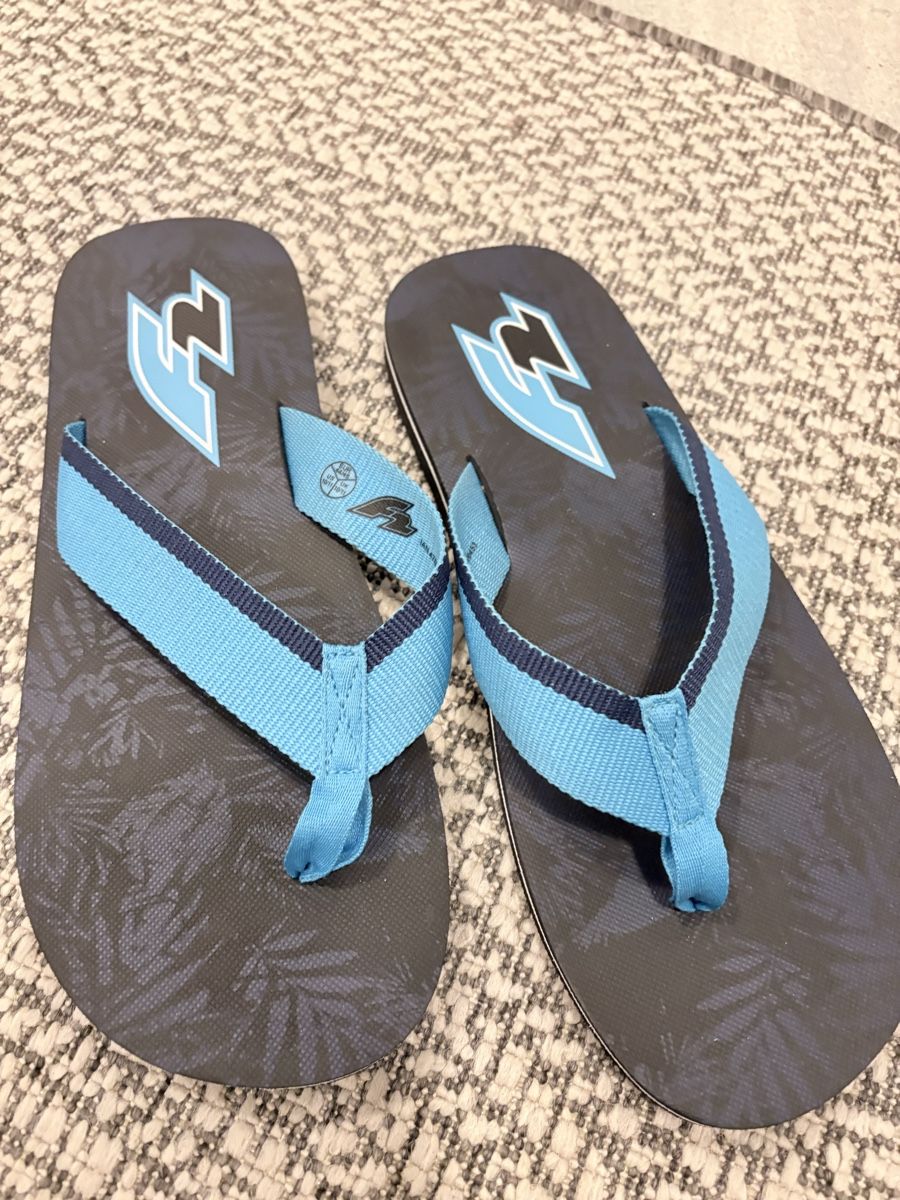 Scarpe da uomo: Sommer-Flip-Flops, neuwertig, Grösse 44/45, hellblau! – Usato da Jona venduto da linda8301