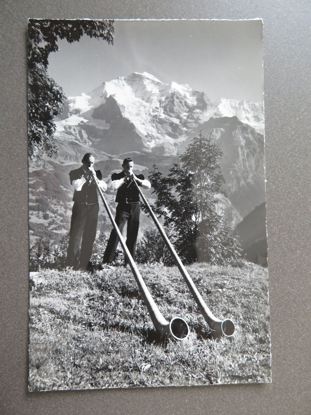 Cartoline postali: ALPHORN - 2 ALPHORNBLÄSER - BERNER OBERLAND – Usato da Wittenbach venduto da lipasal