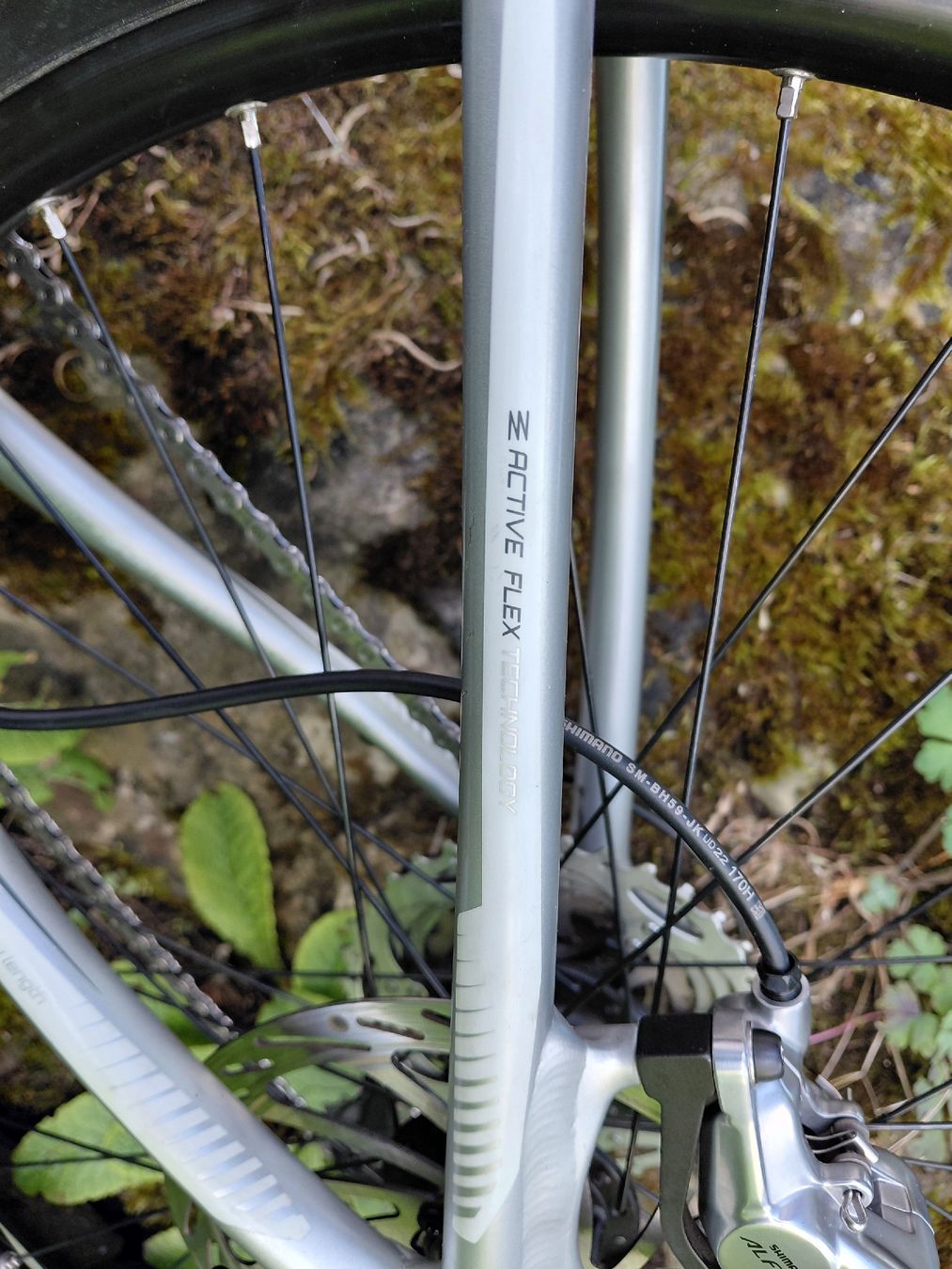 Ghost Biciclette: MTB GHOST – Usato da Windisch venduto da stiiine 7