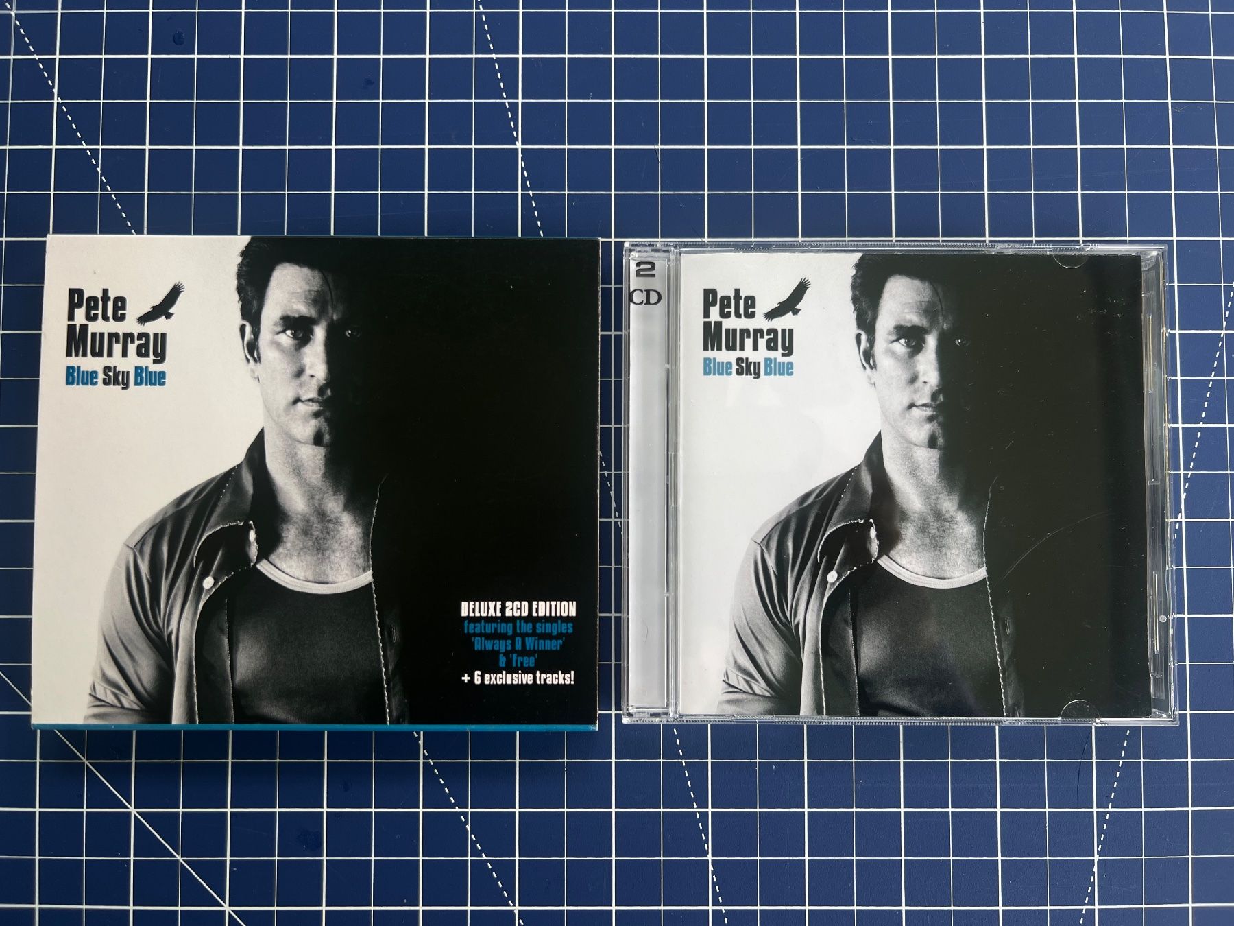 CD: Pete Murray – Blue Sky Blue – Usato da st.gallen venduto da sophiephie