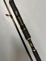Rhein Mostal Fishing 2.70m Spinnrute