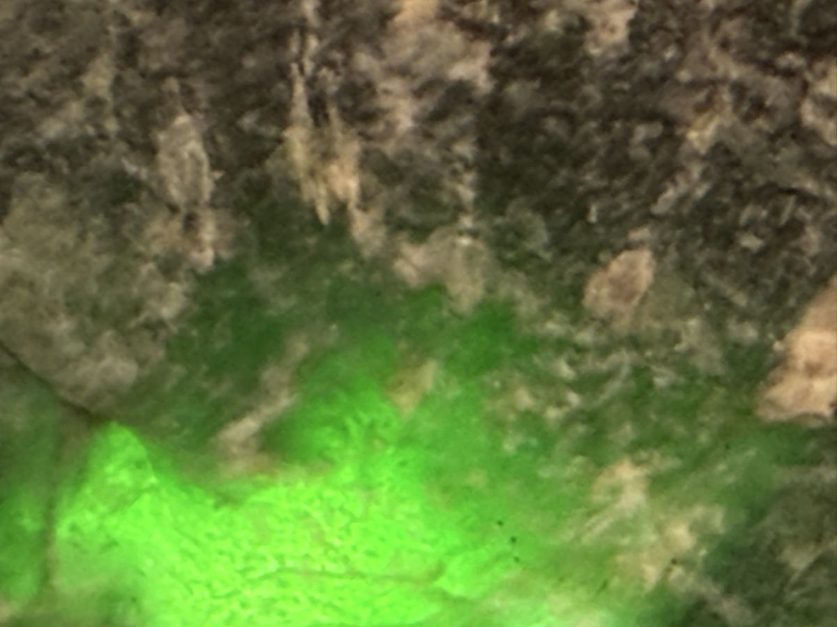 Minerali & Pietre curative: Jadeite Imperial echt 715,5ct! – Nuovo (secondo la descrizione) da Oberhof venduto da RealStone 2