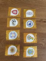 Panini 26