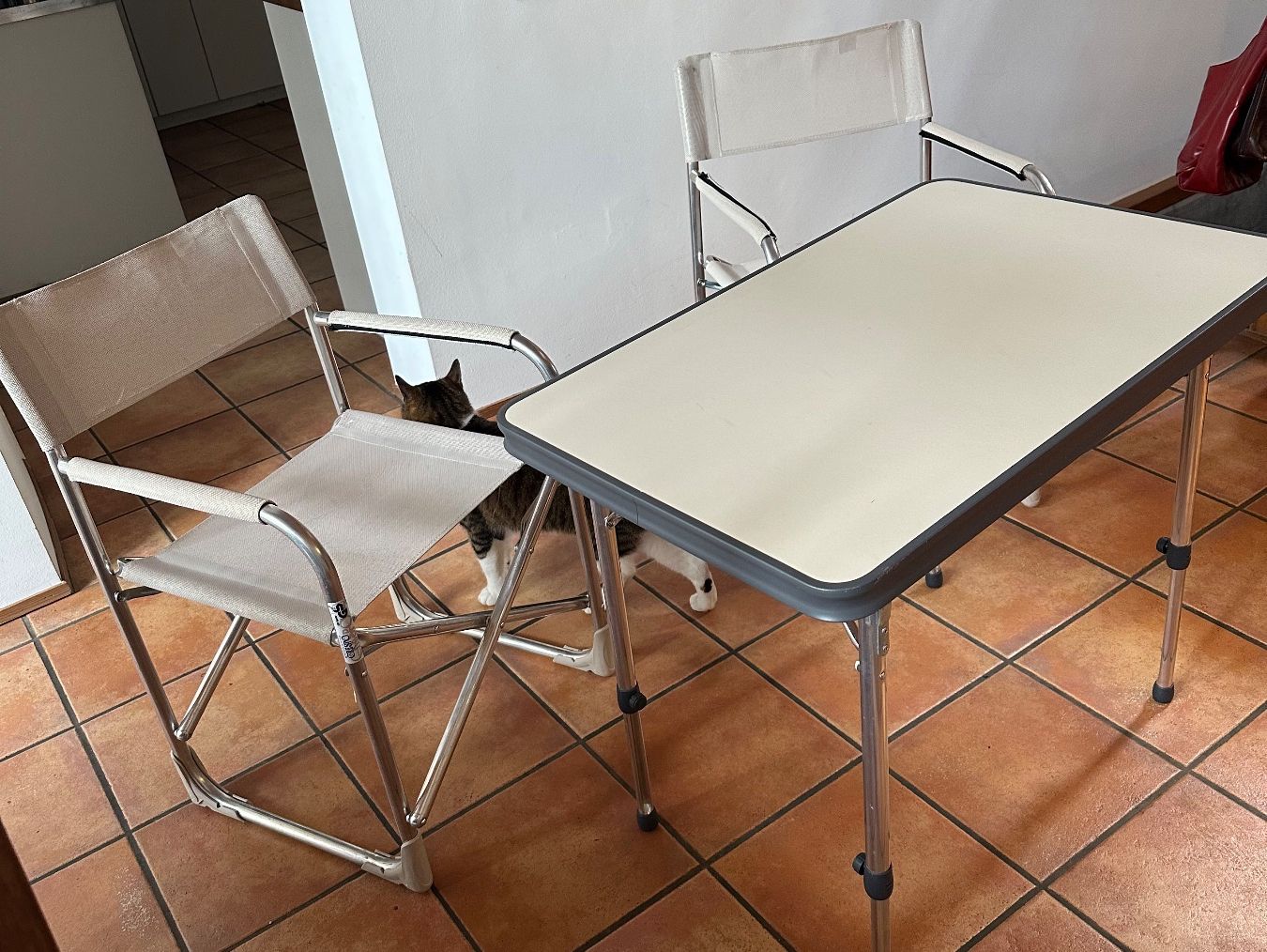 Set di piatti: Campingzubehör – Nuovo (secondo la descrizione) da Wangen ZH venduto da alt_qn2f