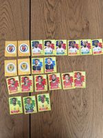 PANINI WM 2026 GRUPPE C HAI SCO MAR BRA