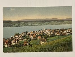 Ansichtskarte Meilen am Zürichsee 1920