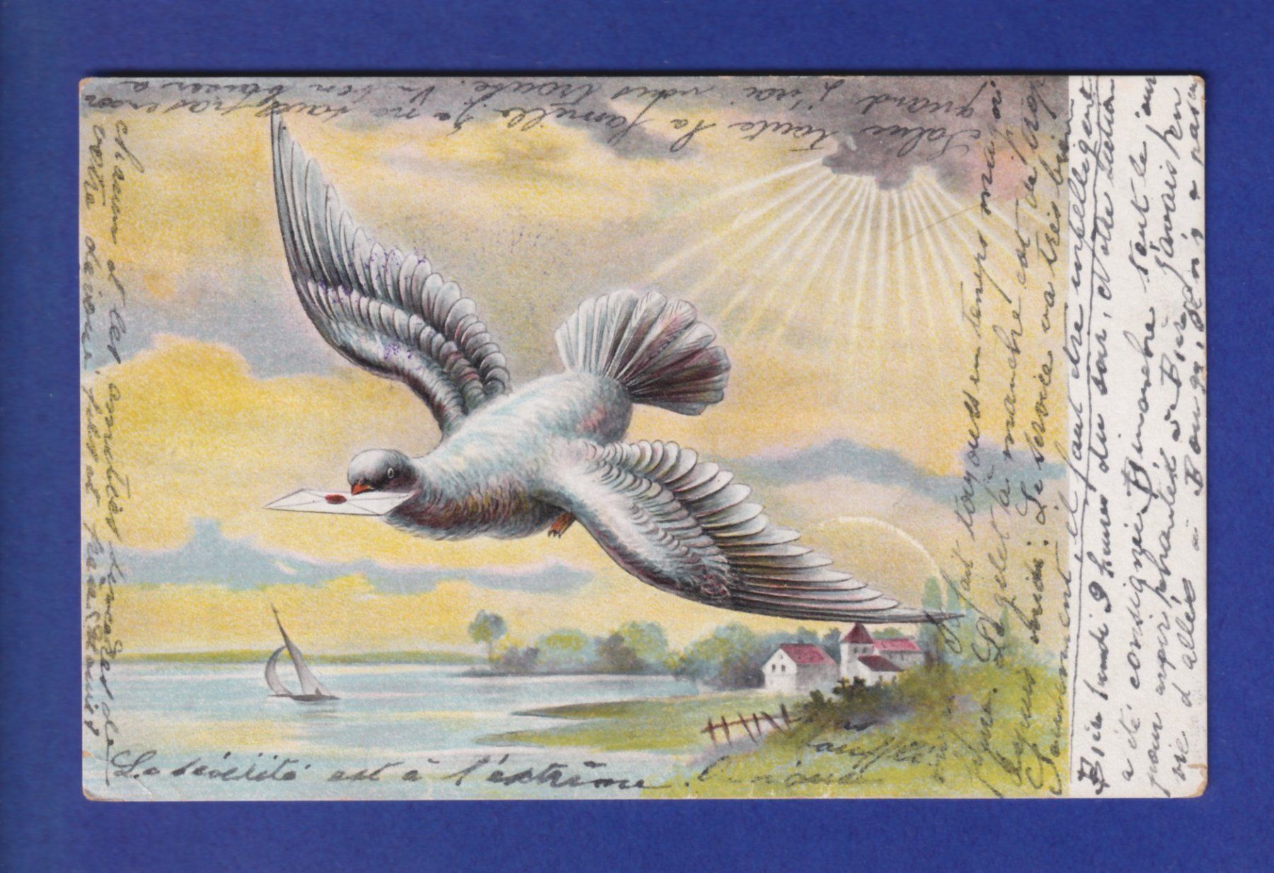 Ansichtskarten: OISEAU - Pigeon messager – Gebraucht aus Pully von nicecards-shop