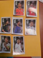 Panini coca cola 2026 7stk