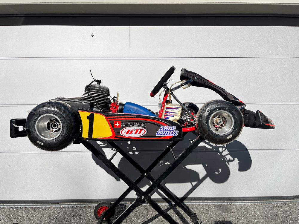 SFI Nackenstütze Kragen Oval Von STR Racing – Für Rennkart, Mini, F2 In Groß Und Blau