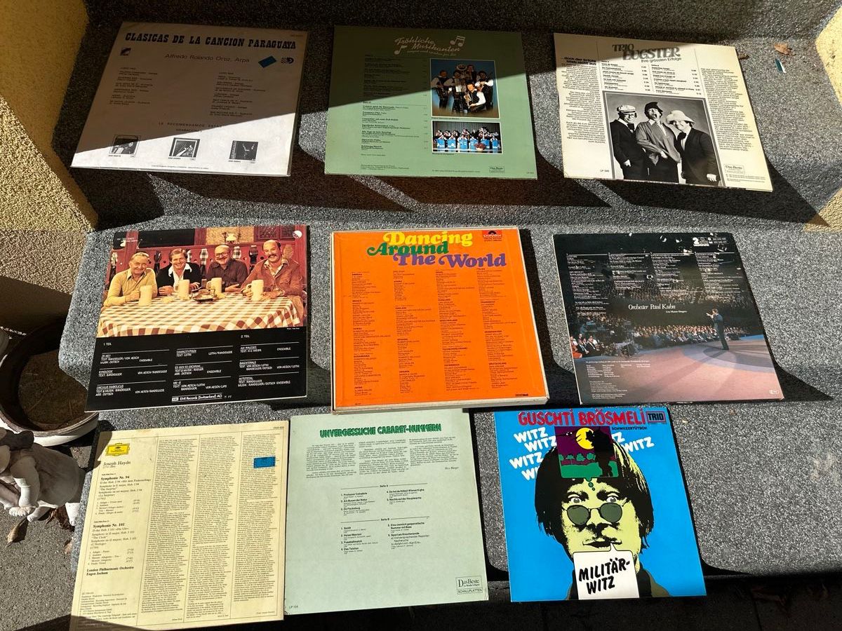 Dischi in vinile: 9 Schallplatte Sammlung – Usato da Oberentfelden venduto da vilibrand 3