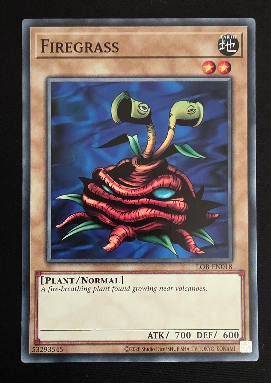 Yugioh Carte collezionabili: Firegrass - LOB-EN018 - Yu-Gi-Oh! TCG – Usato da Zürich venduto da Zetto