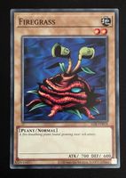 Firegrass - LOB-EN018 - Yu-Gi-Oh! TCG