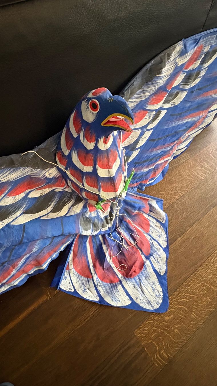 Altro in Decorazioni & Accessori: Drachen / Winddrachen (Adlersujet) – Nuovo (secondo la descrizione) da Schlieren venduto da Bozzighe 1