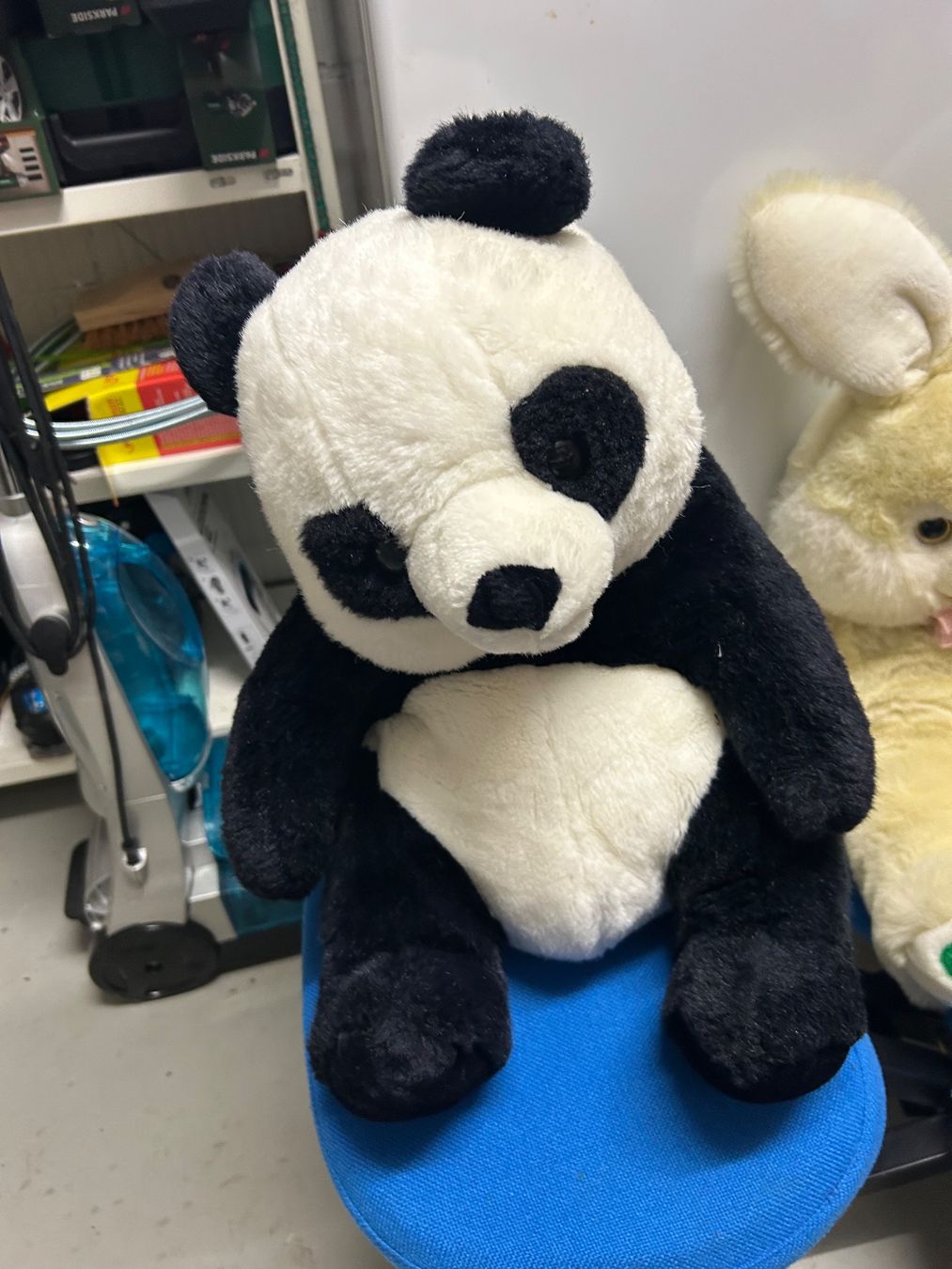 Spielzeuge: Panda Kuscheltier gross – Gebraucht aus Wabern von belka72 2