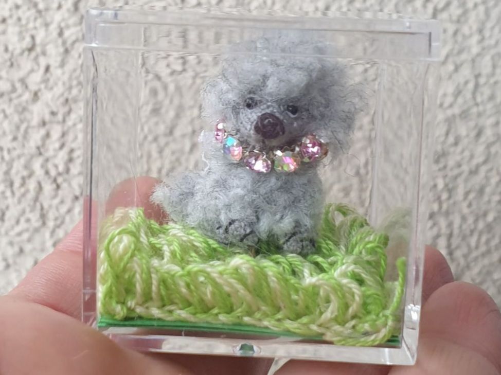 Statuette: Handgehäkelte Miniatur eines Pudels 3 cm in einer Acrylbox – Nuovo (secondo la descrizione) da Gelterkinden venduto da Macrameed