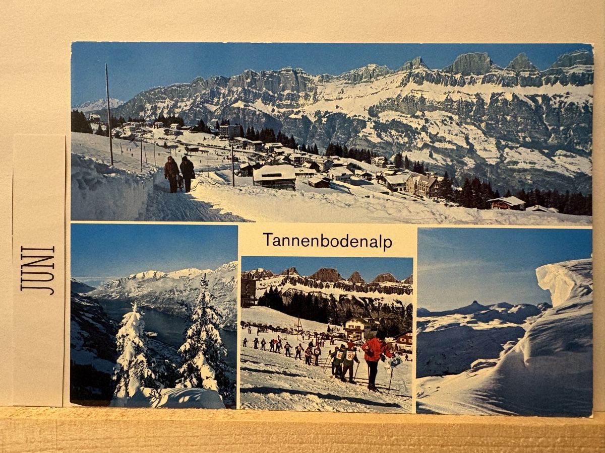 Cartoline postali: AK von Tannenboden Alp – Usato da Rümlang venduto da Kartenpost1