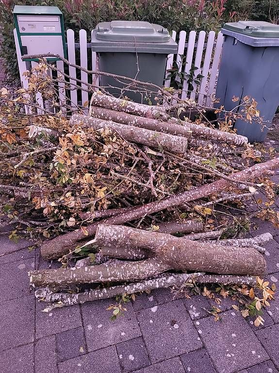 Holzartikel: Brennholz gratis – Neu und originalverpackt aus Gerlafingen von SusanneCordovi