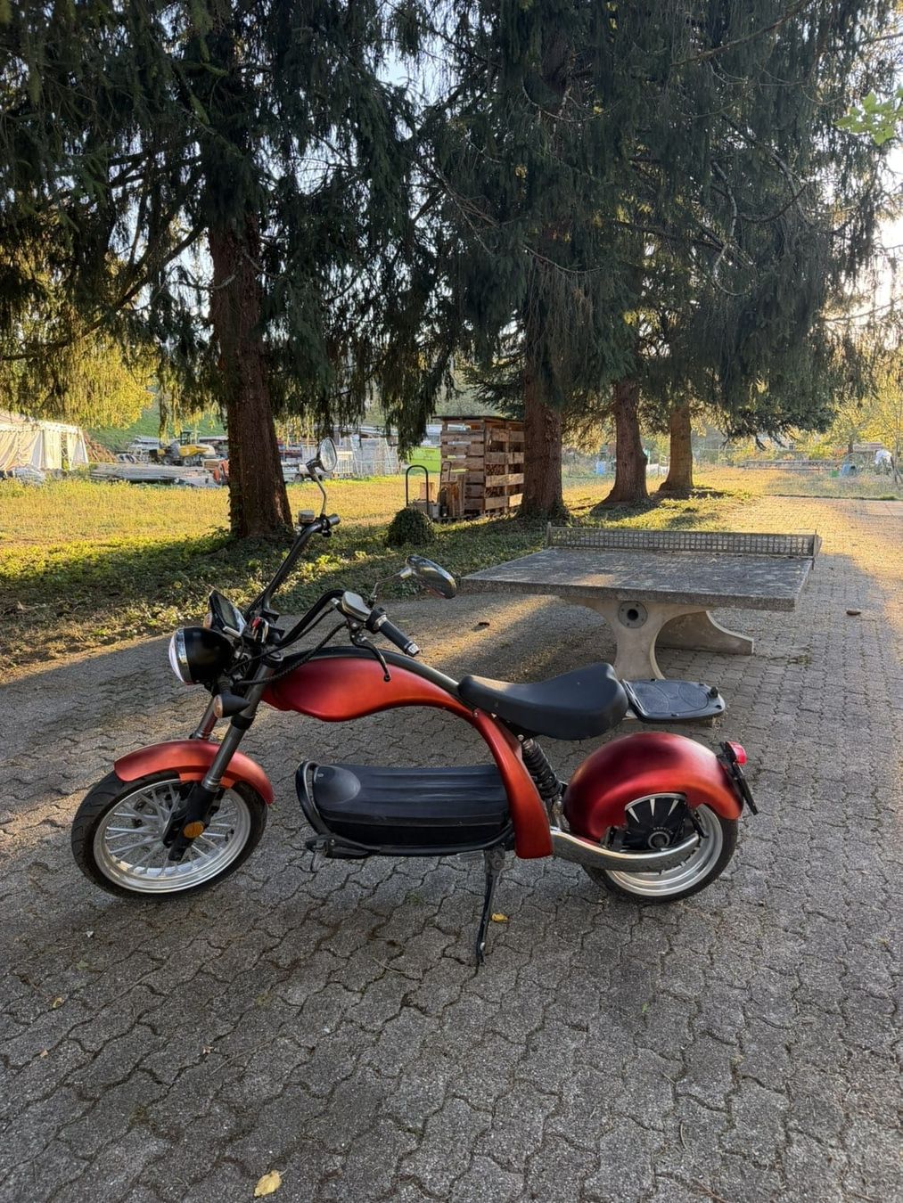 Citycoco Scooters: Dogebos M4 CityCoco E-Roller  – Gebraucht aus Embrach von nok84 1