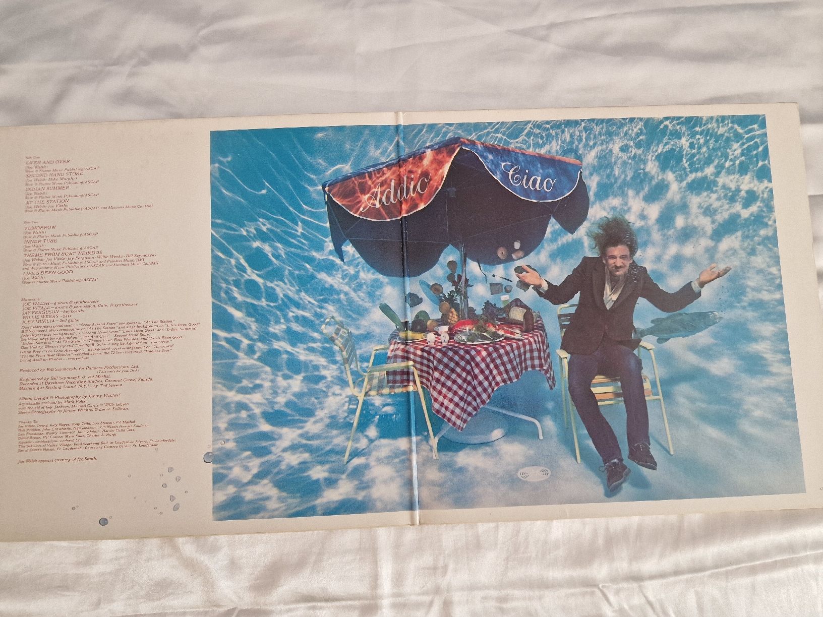 Dischi in vinile: Joe Walsh - " But Seriously , Folks ...." – Usato da Pfaffnau venduto da gunport 2
