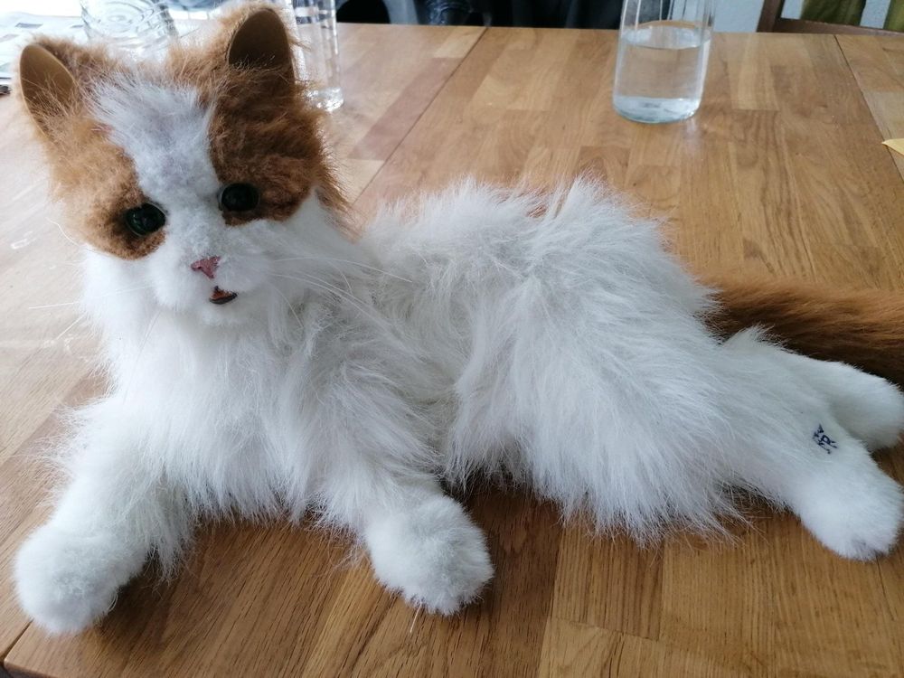 FurReal Friends Katze | Kaufen auf Ricardo