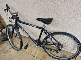 Velo adulte Giant