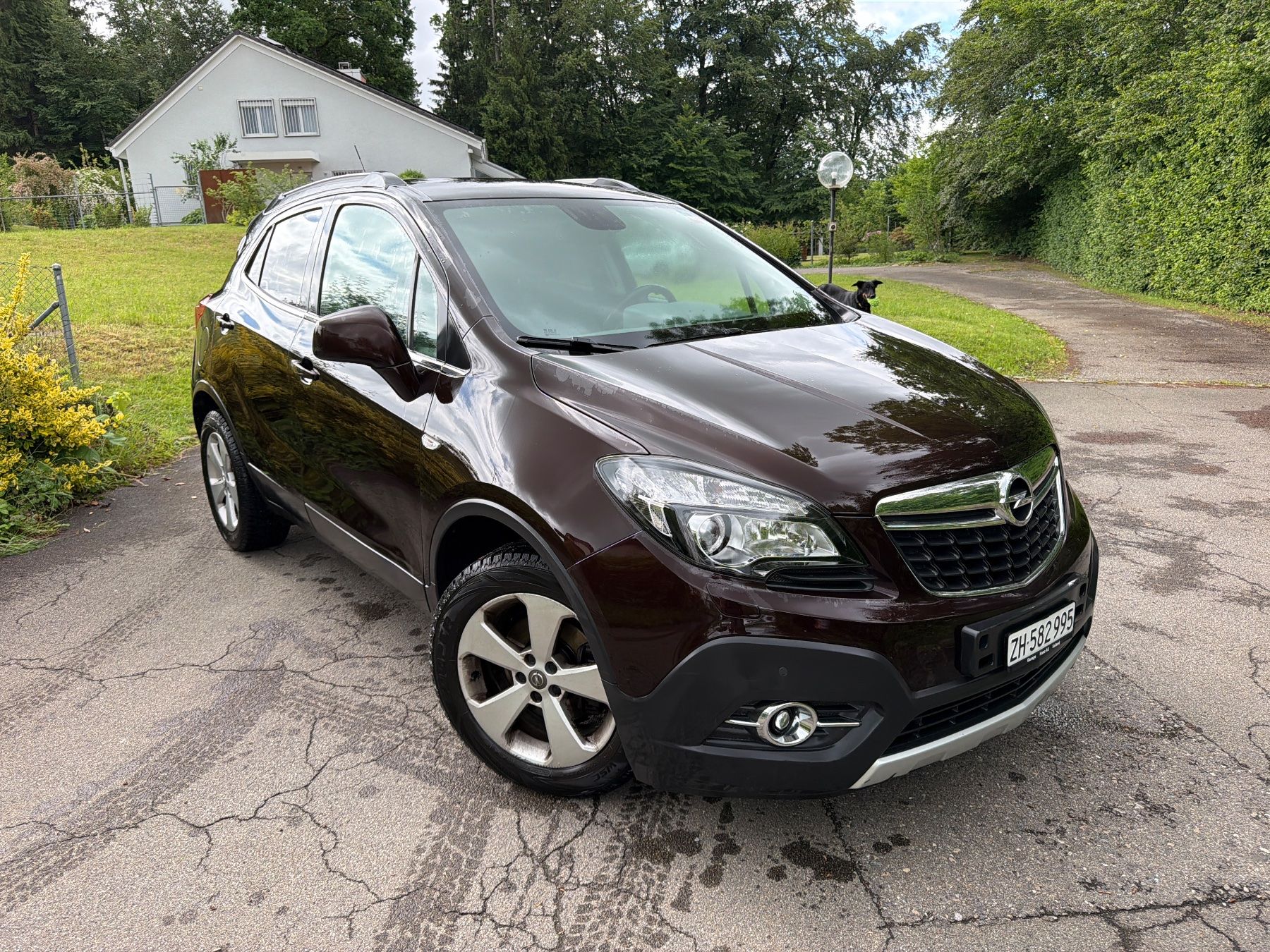 Opel Automobili: 2015 Opel Mokka Enjoy SUV 4x4 – Usato da Rüti ZH venduto da Quer2020