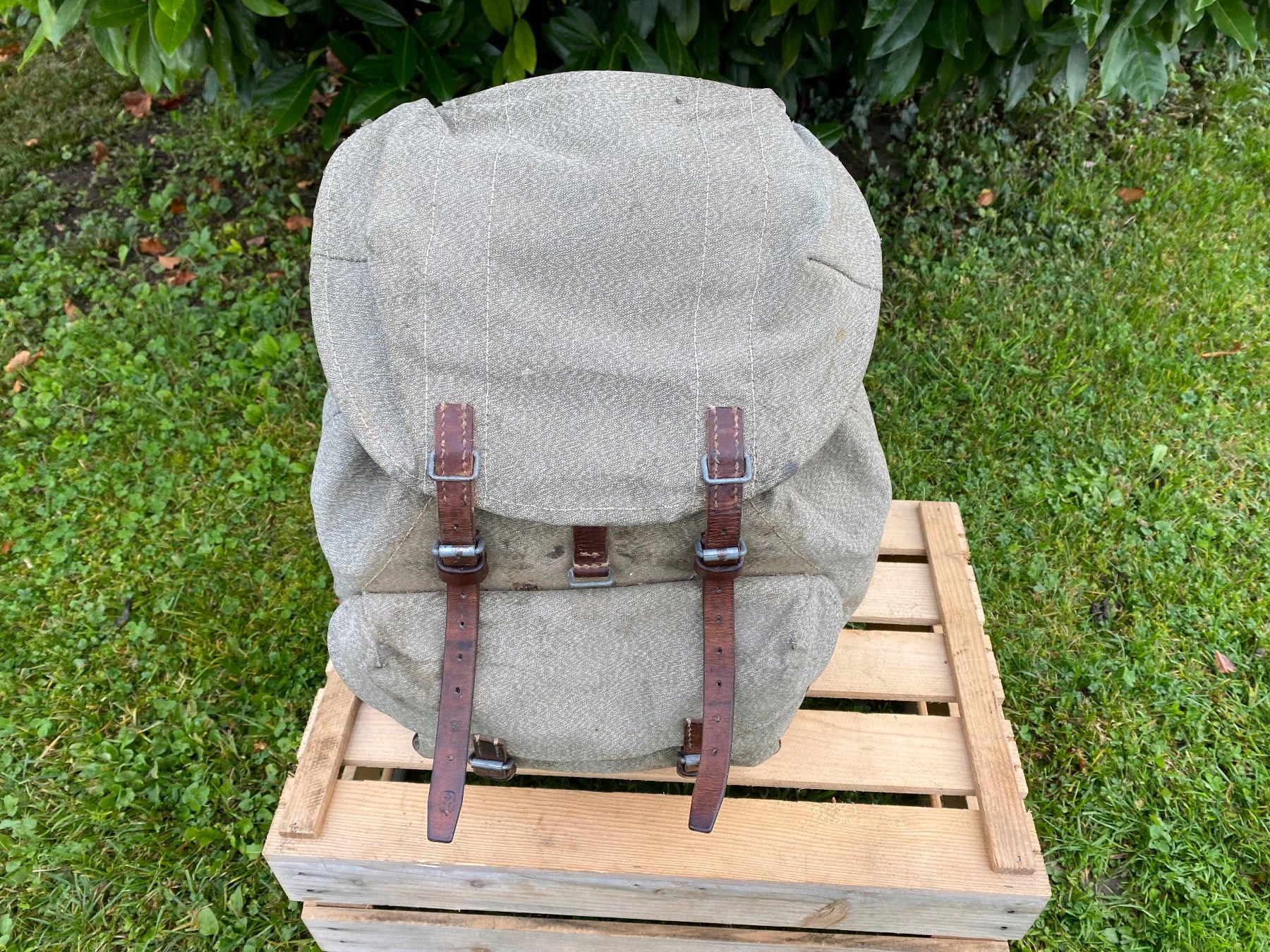 Schweizer Armee Uniformi: Schweizer Militär Rucksack – Usato da Feldbach venduto da Fea1 3