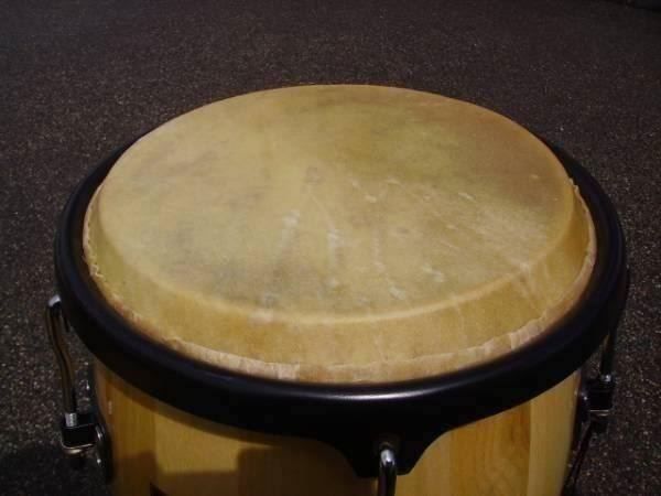 Strumenti musicali: Congas (Paar)  CLUB SALSA – Nuovo (secondo la descrizione) da Wöschnau venduto da Musikhaus-Luethy5012 3
