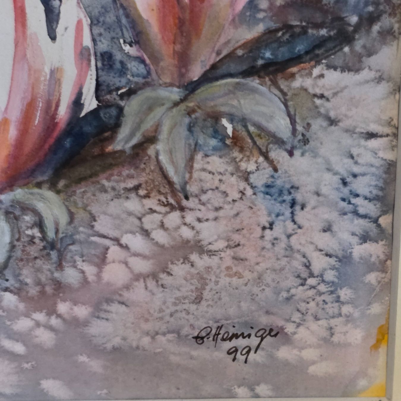 Dipinti: Magnolia Aquarell – Usato da Rohrbach venduto da lod_m58r 3