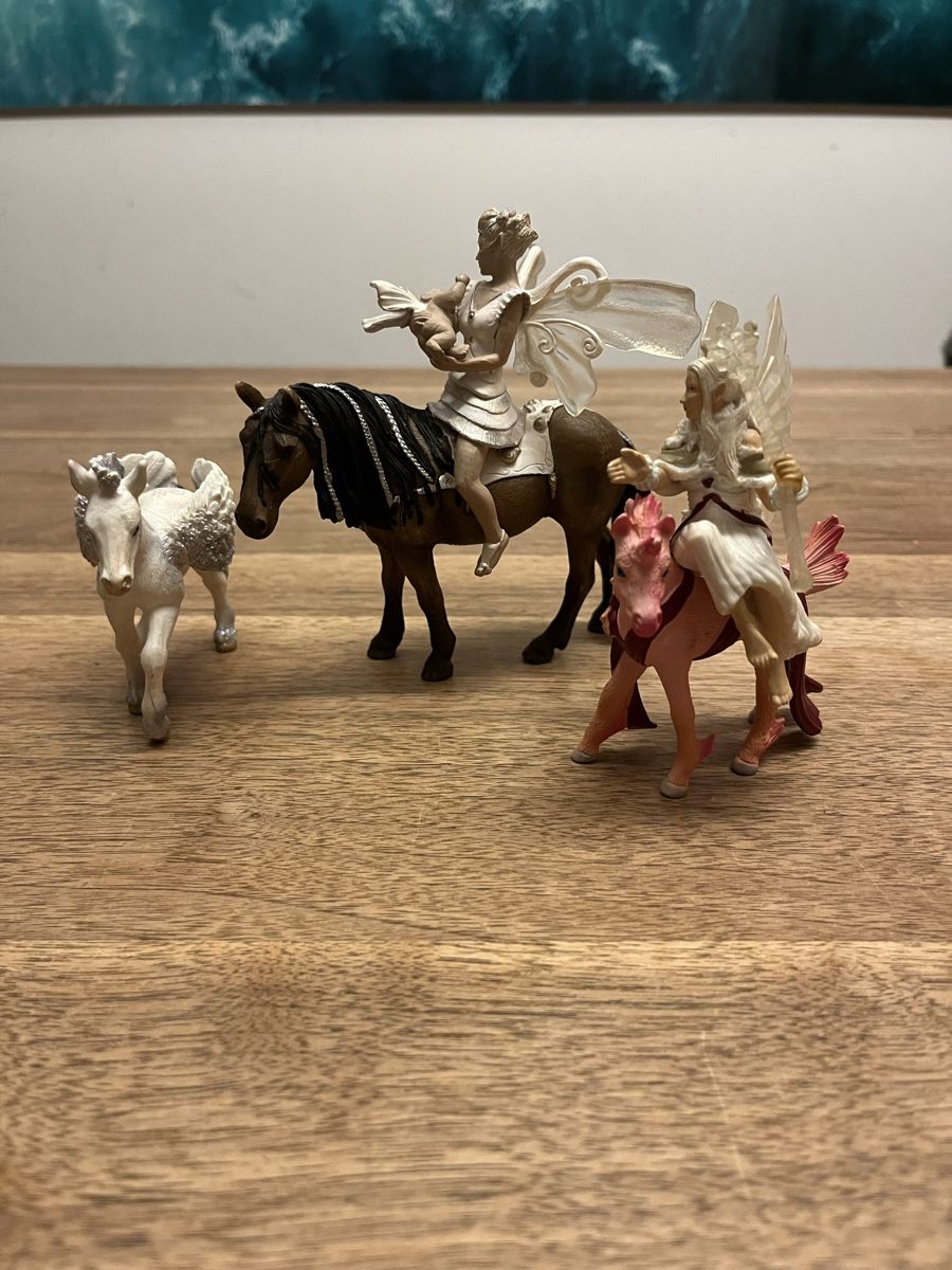 Schleich Giocattoli: Fantasieschleichset – Usato da Weesen venduto da D0101D