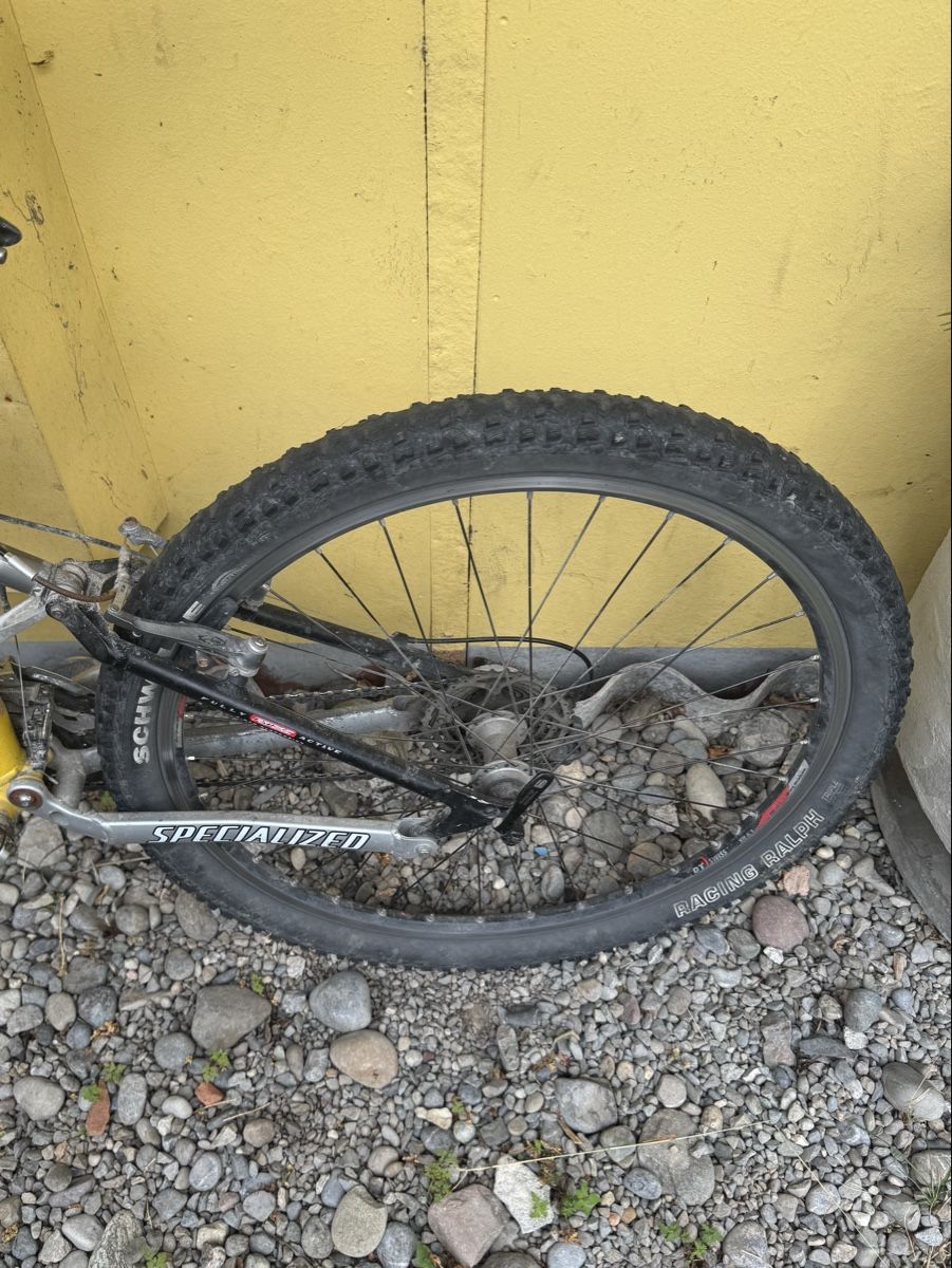 Specialized Velos: Specialized Velo  – Gebraucht aus Schlieren von Freundlich02 2